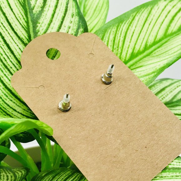 ๐5/$25๐ Heart Shaped Earth Day Earrings - Picture 4 of 9